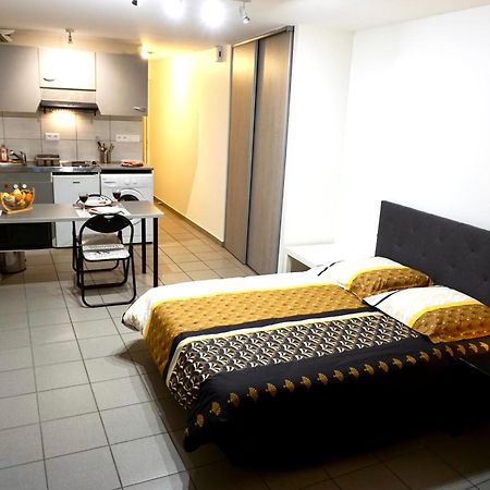 Charmant Studio Centre Ville Le Puy-en-Velay Εξωτερικό φωτογραφία